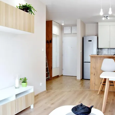Apartment Luxury In City-4- Free Parking